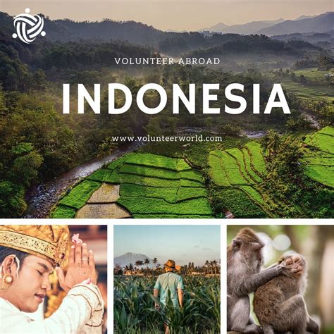 volunteering in indonesia|Destinations .